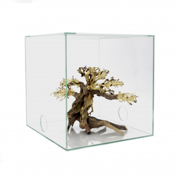 Preview: Bonsai-Tree